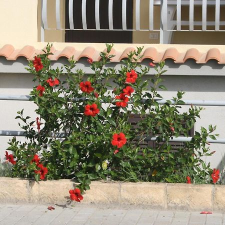 Baia Dei Canonici Aparthotel Villaggio Le Rocelle ภายนอก รูปภาพ