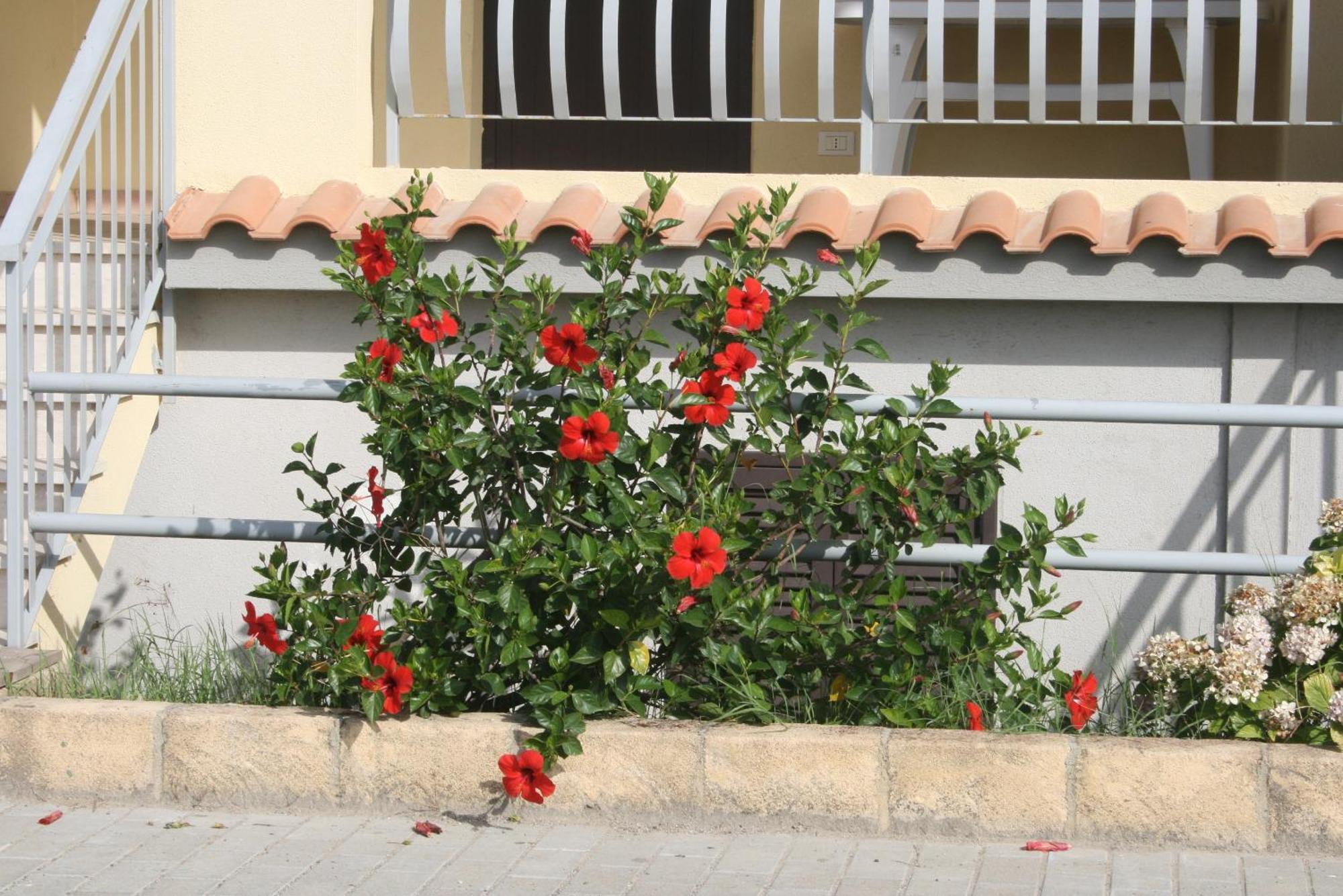 Baia Dei Canonici Aparthotel Villaggio Le Rocelle ภายนอก รูปภาพ